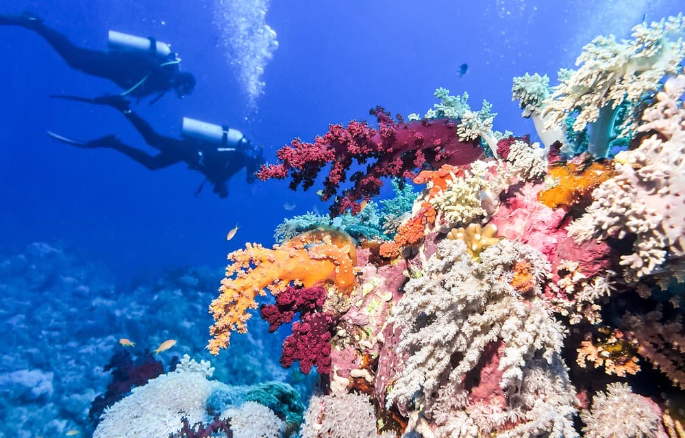 Belize Barrier Reef