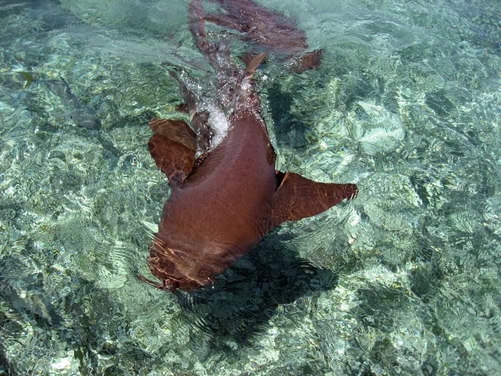 Bacalar Chico National Park