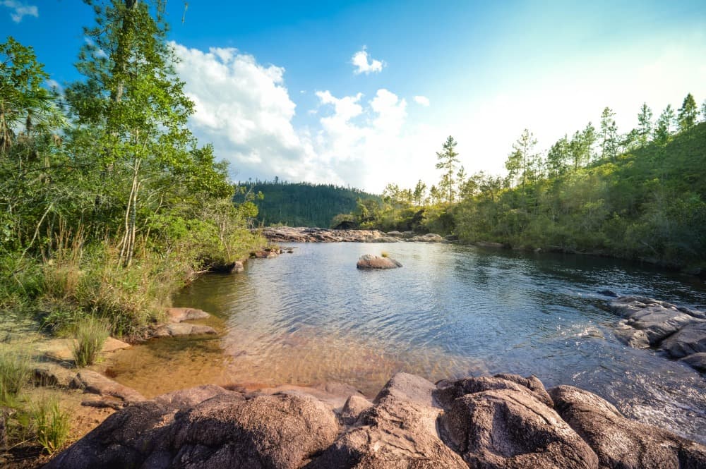 Mountain Pine Ridge Forest Reserve