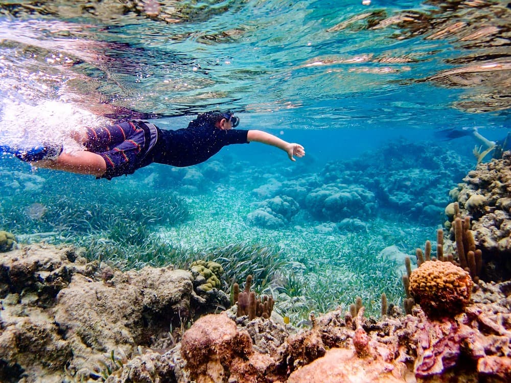 Ambergris Caye